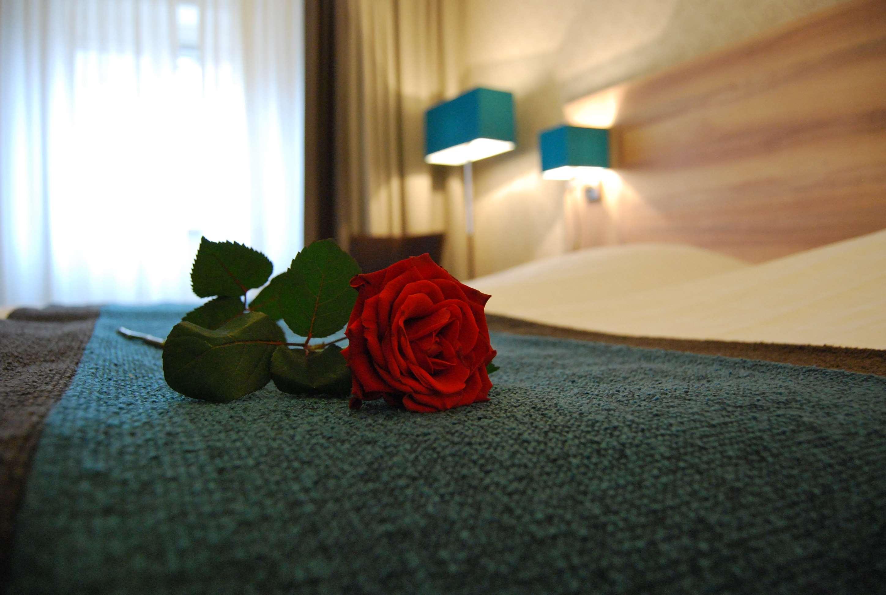 הארדרוייק Best Western Hotel Baars מראה חיצוני תמונה